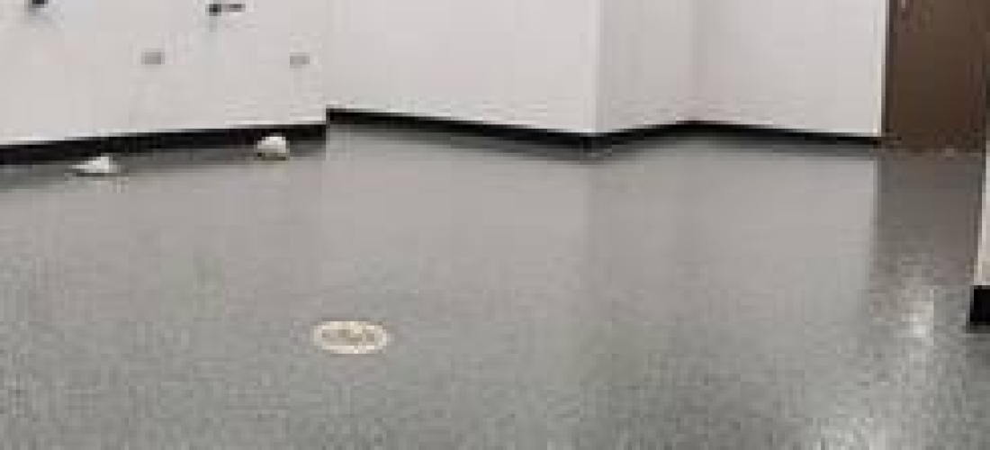 Flake Floor